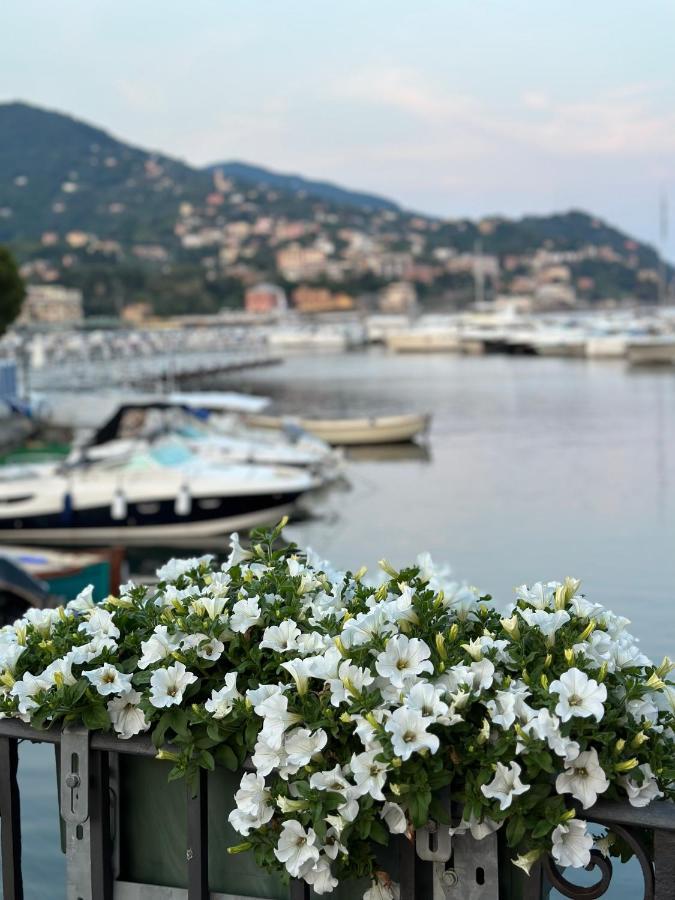 Town Flat Rapallo - Free Parking المظهر الخارجي الصورة